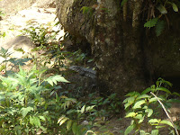 DSC05137.jpg