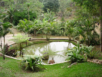 DSC05151.jpg