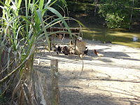 DSC05019.jpg