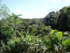 DSC05051.jpg