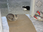 DSC05042.jpg