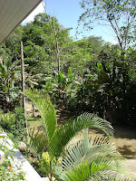 DSC05058.jpg