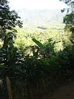 DSC05076.jpg
