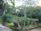 DSC05109.jpg DSC05109.jpg