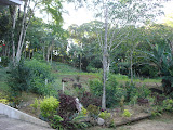 DSC05109.jpg