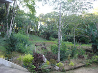DSC05109.jpg