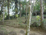 DSC05108.jpg