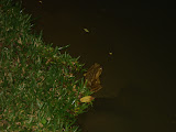 DSC05144.jpg