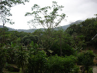 DSC05149.jpg