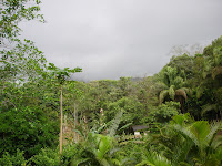 DSC05152.jpg