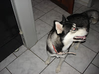 DSC05444.JPG