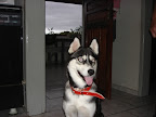 DSC05449.JPG