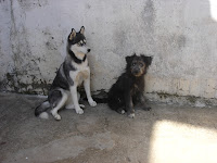dsc06250.jpg