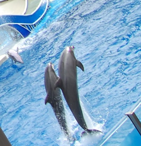 [DSC_01137.jpg]