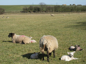 1003140021.JPG Luddenham Court Farm