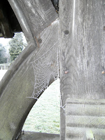 DSCF0016.JPG Frosty spider s web, Betchworth