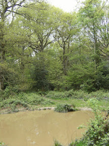1005120036.JPG Muddy pond in Kings Wood