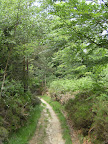 1006120040.JPG Five Hundred Acre Wood