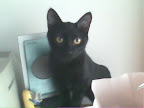 20090802093235.jpg