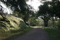 Trail Starting Out 2 Photo