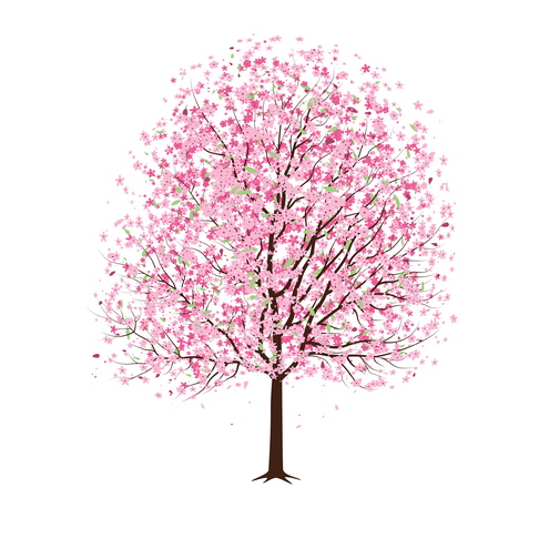 cherry blossom tree wallpaper. Vector-pink-cherry-lossom-