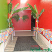 havaianafestxango-002.jpg