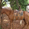 EncontroCavaleiros_030.jpg