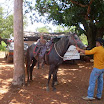 EncontroCavaleiros_071.jpg