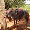 EncontroCavaleiros_064.jpg