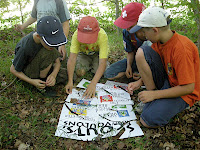 passvac2010 