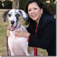 Dallas Loves Animals kicks off February 12th at Dallas shelter