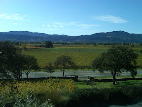 The view from the deck of the Cliff Lede Vineyard The view from the deck of the Cliff Lede Vineyard