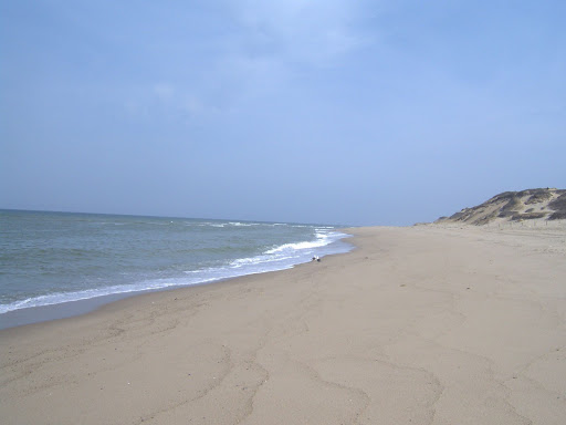 free habitats in the ocean