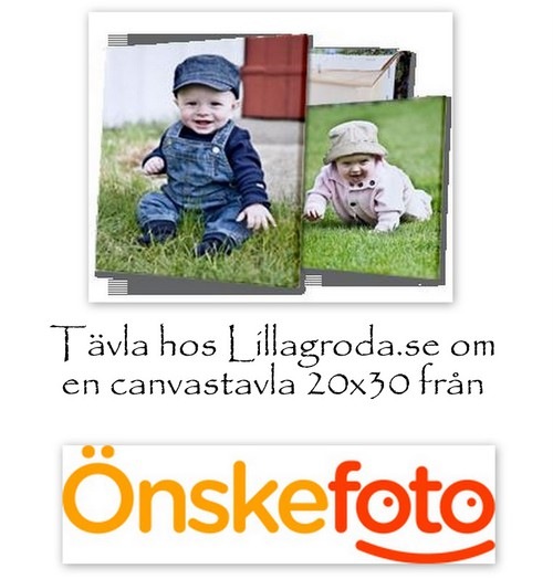 [bilder_118305970[3].jpg]