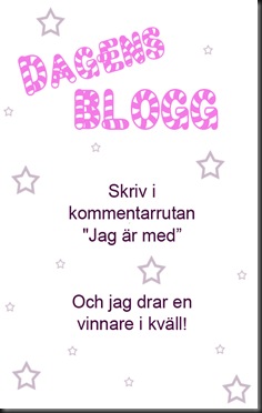 dagens blogg