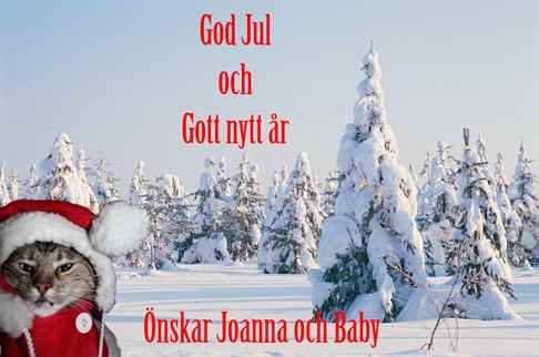 julkort