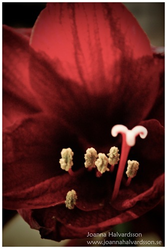 009-2-2-2
