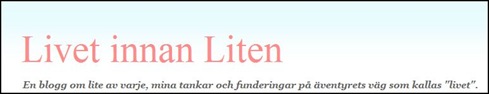 Skärmklipp