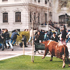 Imagen5.jpg