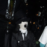 DSCI0041.JPG
