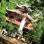 Phong cảnh núi Bà Đen Tây Ninh