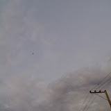 21-07-08_2102.jpg