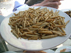 DSCN2841.JPG