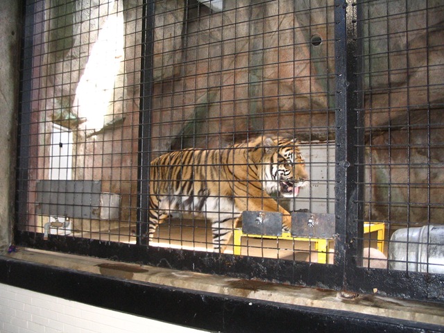 [2009_05_12 144[5].jpg]
