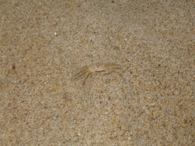 [2009_06_180755.jpg]
