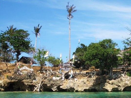 [27236_422095765930_695505930_5808822_8362122_n[5].jpg]