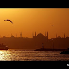 mosque-masjid-bird-sunset-lighthouse-water