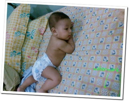 watermark_senget