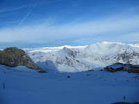IMG_4022.jpg