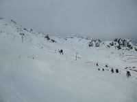 IMG_4056.jpg